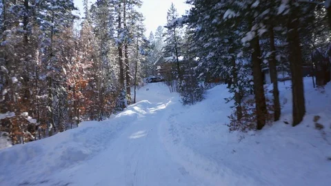 Flying low down a snowy mountain road next to cabins, amongst pine trees 스톡 동영상 111606081