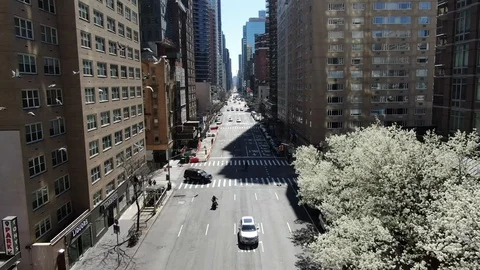 Flying low down a wide avenue past a tree in full spring blossom Stock-Footage 127305588