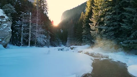 Flying low near a river stream with a young woman hiker walking on a forest path Stock Footage 296697146