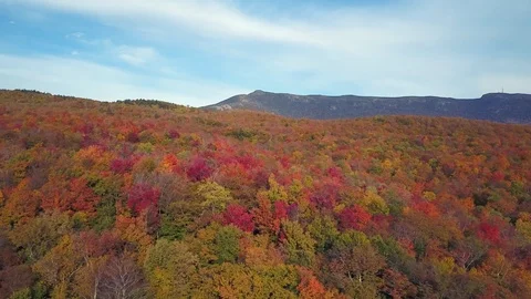 Flying low over autumn forest new england - Brilliant Fall Colors Aerial Stock Footage 119924230