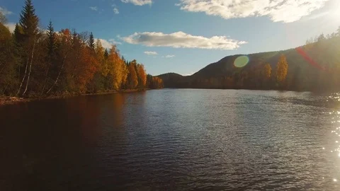 Flying low over autumn river and forest. Stock Footage 81217019