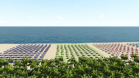 Flying low over the beach with trees palms. Stock Footage 87039674