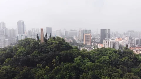 Flying low over dense trees. Gradually overlooking the city Video stock 113164562
