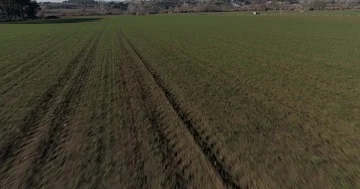 Flying low over green fields Stock Footage 85610128