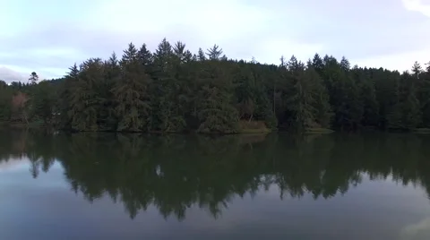Flying Low Over an Inlet Toward Evergreen Trees Stock Footage 62577857
