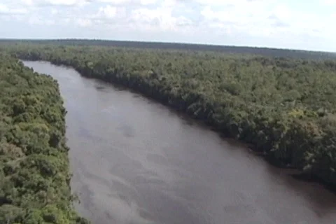 Flying low over jungle river 2 Stock Footage 286308