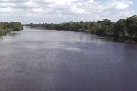 Flying low over jungle river Stock Footage 286309