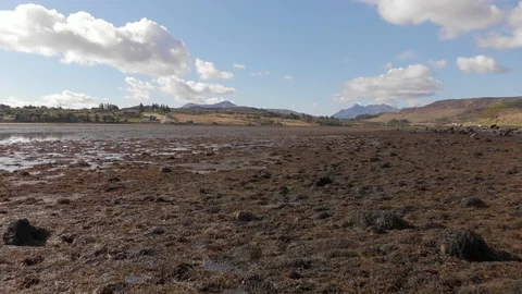 Flying Low Over Loch Shore At Low Tide, Isle Of Skye, Aerial Cine D Stock Footage 108497375