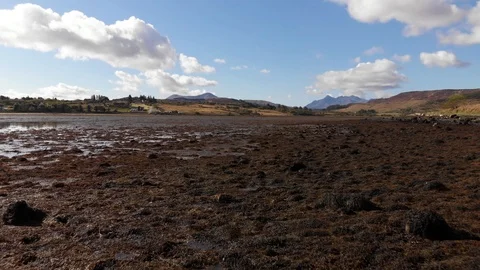 Flying Low Over Loch Shore At Low Tide, Isle Of Skye, Aerial Stock Footage 108497814