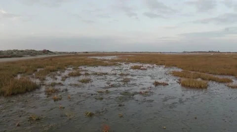 Flying low over marsh Stock Footage 44400143