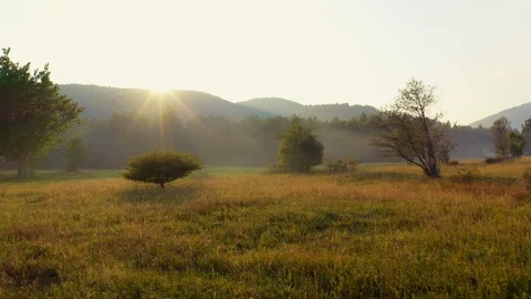 Flying low over meadow in mist against the sunset. Stock Footage 115078035