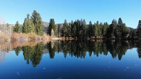 Flying Low Over Pond at Graeagle California Stock Footage 135956930