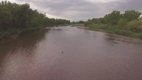 Flying Low Over River Downstream to Bridge Stock Footage 98846462