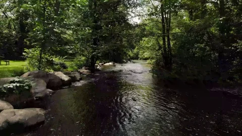 Flying low over a river Stock Footage 113704120