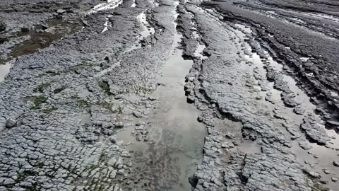 Flying Low Over a Rocky Beach Stock Footage 202591677