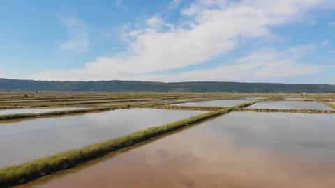 Flying low over salt pans on sunny summer day, aerial footage Stock Footage 128109789