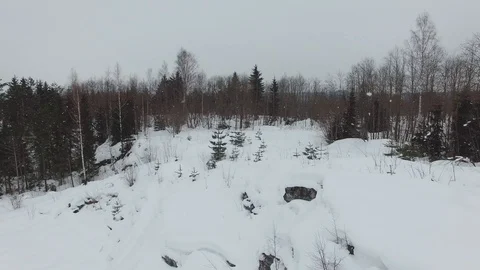 Flying low over a snow-covered glade with bushes and firs in cloudy day. Stock Footage 92850785