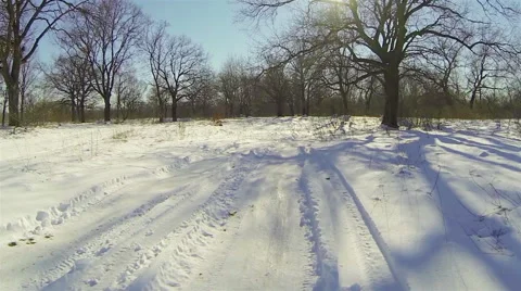 Flying low over the snow in the winter in the woods. Stock Footage 47154940