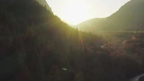 Flying low over trees in Provo Canyon during autumn sunset with lens flare Video stock 242825198