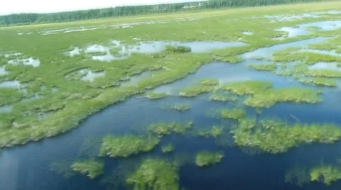 Flying low over tundra Video stock 8331080
