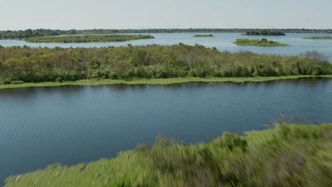 Flying low over wetlands Video stock 136201892