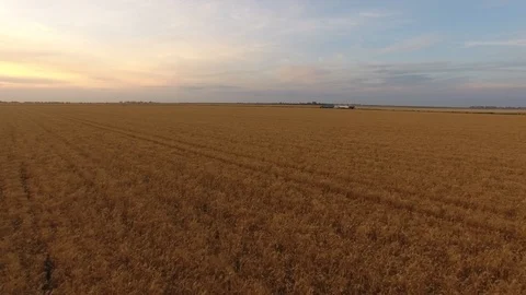 Flying low over a wheat field in rural NSW Australia at sunset Stockbeeldmateriaal 94118213