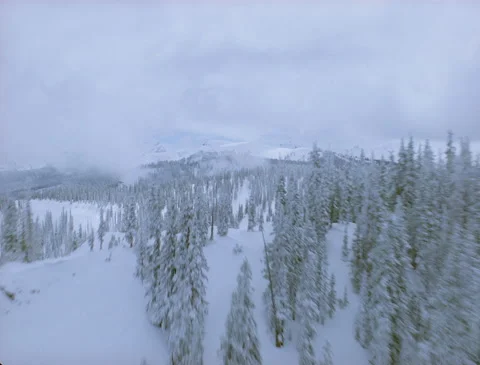 Flying low over winter mountain treeline Stock Footage 136071147