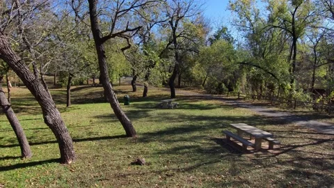 Flying Low Through Park Video stock 221456515