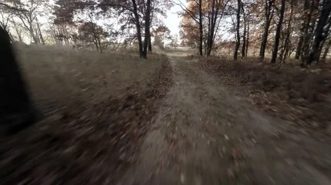 Flying low through trees.mp4 Video stock 48332572
