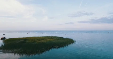 Flying low towards flock of swans Stock Footage 90758517