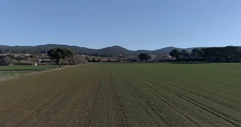 Flying low towards a road with circulation of vehicles Stock Footage 85609863