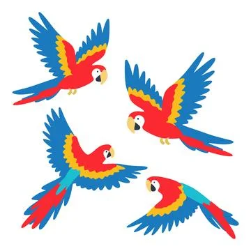 Flying macaw parrots set creating tropical bird concept Stock Illustration