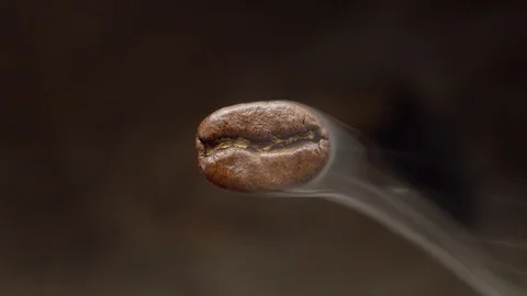 The flying macro coffee bean is steaming. Stock Footage 100256887