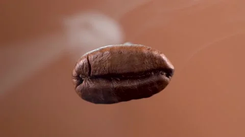 The flying macro coffee bean is steaming. Macro shot. Barista Espresso Smoke Stock Footage 154166958