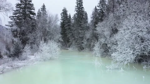 Flying in magic winter landscape: over frozen blue lake and snowy forest Vídeo Stock 188474722