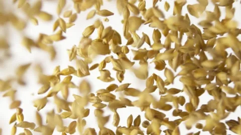 Flying malt grains on the white background slow motion, slow motion food Vídeo Stock 148553266