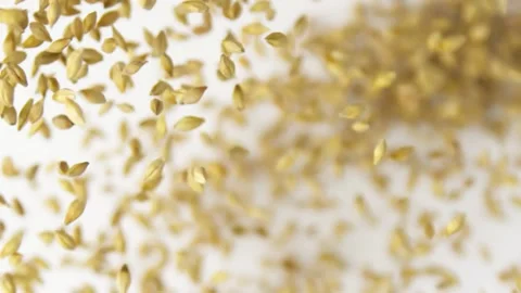 Flying malt grains on the white background slow motion Video stock 148553411