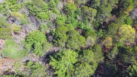 Flying a Mavic air 2 drone over a house on a sunny Day of May Stock Footage 130589250