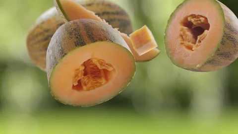 Flying Melon and Melons slices in Green Garden Orchard Shiny Background Stock Footage 229561658
