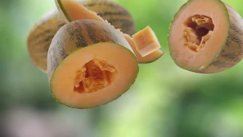 Flying Melon and Melons slices in Green Garden Orchard Shiny Background Stock Footage 232654829
