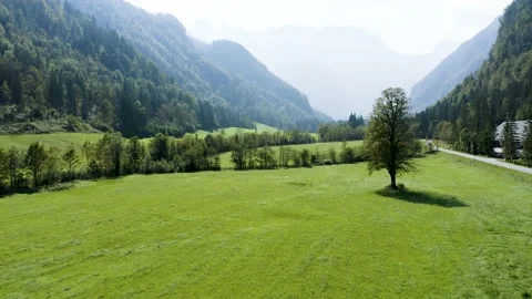 Flying in The Middle Of Huge Logar Valley Towards Huge Tree On The Meadow. Stock Footage 210773531