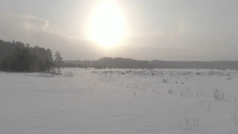 Flying in the middle of a light blizzard Stock Footage 221533094