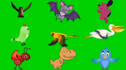 Flying mix on green screen featuring bat vampire dog green bird pelican ant Stock Footage 334704342
