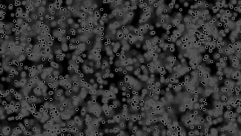 Flying molecules. Depth of field. Dizzying abstract background. Seamless loop. Stock Footage 94650994