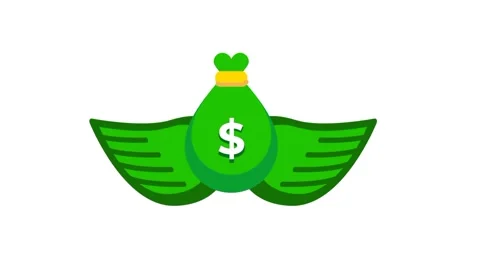 Flying Money Bag Stock Footage 335815041