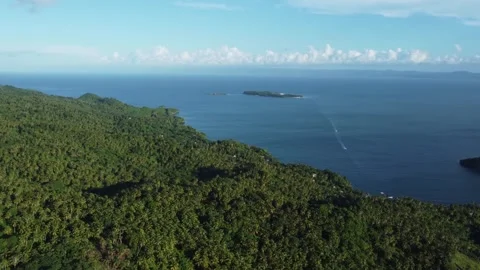 Flying off Monte Rojo mountain on the Samaná peninsula in the Dominican Stock-Footage 259835560
