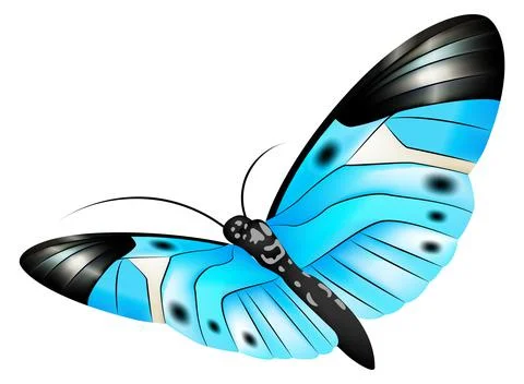 Flying moth with patterned wings. Blue butterfly Illustrazione stock