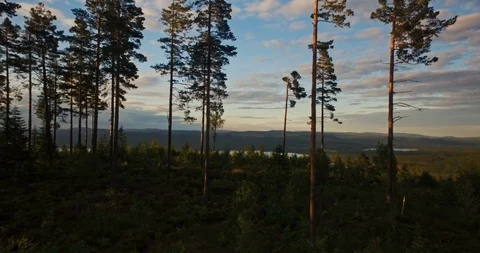 Flying in mountain forest 스톡 동영상 108563880