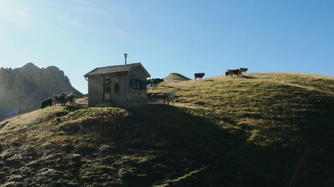 Flying in the mountains of Austria over a hut with cows and beautiful views Stock Footage 128519101