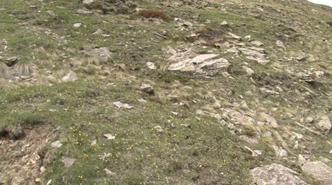 Flying in the mountains Stock Footage 39533616